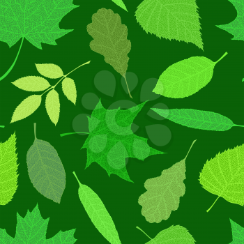 Veined green leaves on dark background.