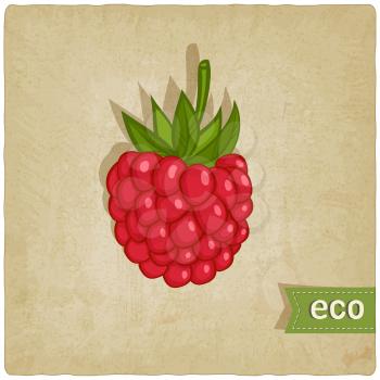 raspberries eco background - vector illustration. eps 10