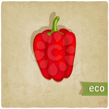 vegetable eco old background - vector illustration. eps 10