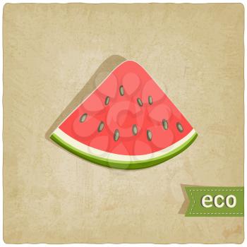 watermelon eco old background - vector illustration. eps 10