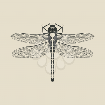 black dragonfly insect - vector illustration. eps 8