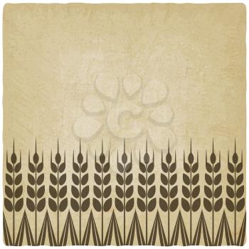 ripe wheat ears old background - vector illustration. eps 10