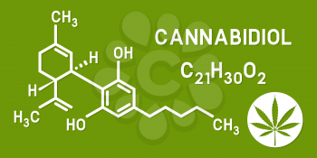 Medical Cannabis. Cannabidiol CBD molecular structures. Vector illustration