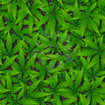 Green cannabis leaf seamless pattern. Vector illustration