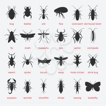 Pest Control insect black silhouette set. Vector illustration