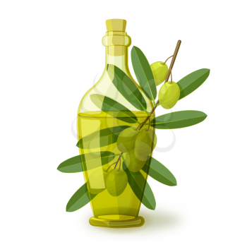 olive branch with bottle of oil on white background. vector illustration - eps 10