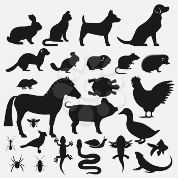 Pets silhouettes icons set. vector illustration - eps 10