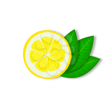 slice of lemon with green leaves on white background. vector illustration - eps 10