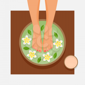 Spa foot therapy. Women's feet in bowl with flowers and leaves. Vector illustration