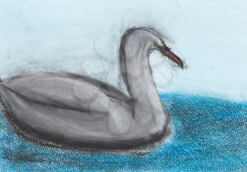 children drawing - grey swan gliding at lake