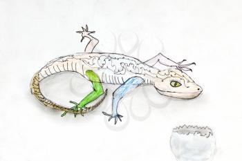 children drawing - Lizard and egg shell on white paper