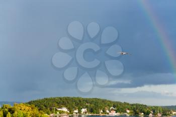rainbow and seagull in deep blue cloudy sky