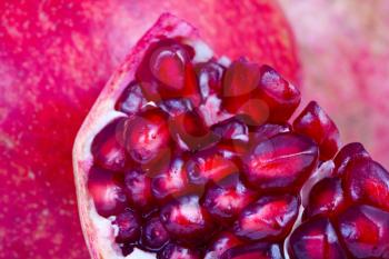 broken pomegranate close up