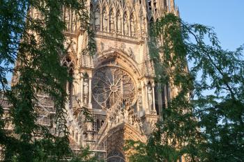 view through trees on Notre Dame Cathedral in Reims, France