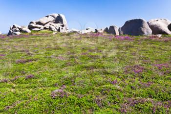 moorland with stone boulders in Brittany, France