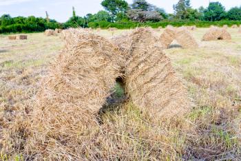 straw stack in field in Bretagne