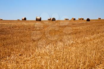 view of straw field after harvest