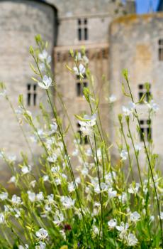 white flowers in front of medieval chateau Sully-sur-loire, France