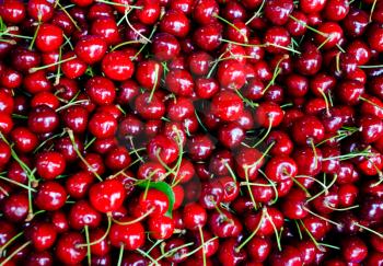 many red sweet cherry