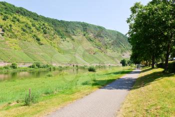 promenade along Moselle river and vineyards in on slope of mountain, Germany