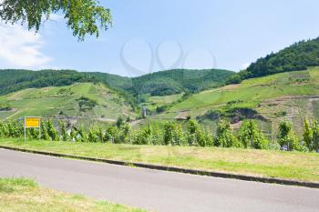 country road in Moselle valley in summer day, Germany