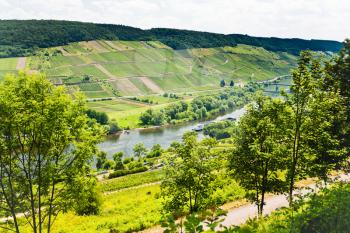 wine road in Moselle valley and Mosel river in summer day, Germany