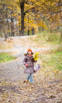girl walks in yellow autumn forest