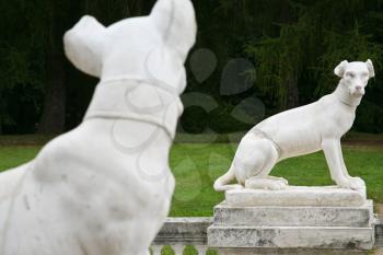 dog statues in antique Roman style outdoor