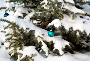 Christmas-tree decoration (green glass ball) on the tree outdoor