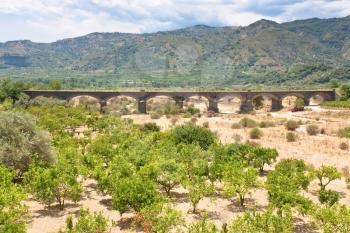 citrous garden and bridge in dry riverbed, Sicily