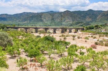 citrous garden and bridge in dry riverbed, Sicily