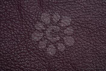 fragment of cherry leather