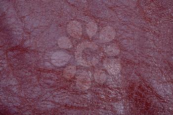fragment of cherry leather