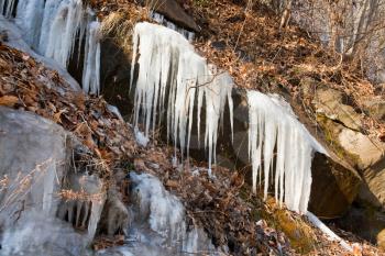 frozen stream in winter