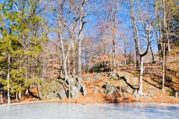 frozen pond in autumn day