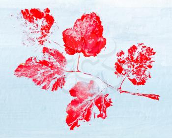 monotypy with red maple leaves on blue background