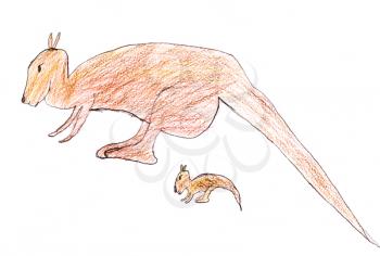 childs drawing - Australian adult and little kangaroo