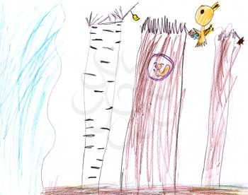 childs drawing - wild summer forest life