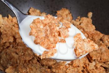 spoon with yogurt and cornflakes close up