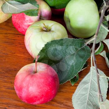 green leaves and red apples on wooden table close up