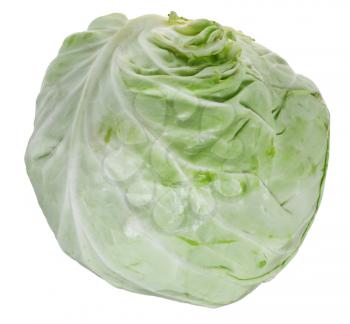 head of green cabbage isolated on white background