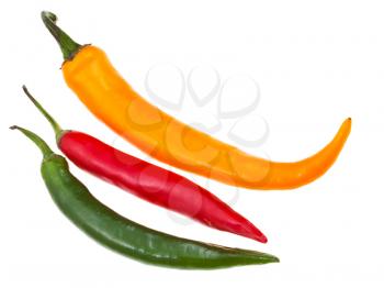 pods of hot peppers isolated on white background