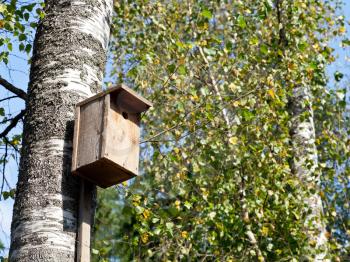 wooden birdhouse on birch trunk in summer day