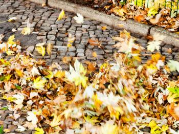 wind clear urban pavement from autumn leaves