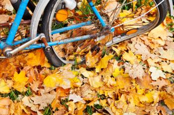 broken wheel of bicycle in autumn leaves in Berlin