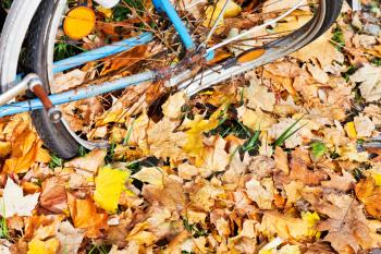 damaged wheel of bicycle in autumn leaves in Berlin