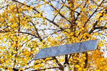 outdoor solar battery panel and tree in autumn day