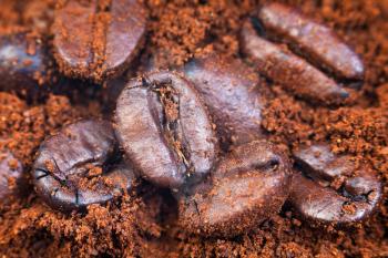 macro shot of roasted coffee beans in ground coffee