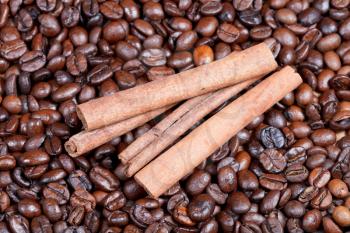 cinnamon bark on roasted coffee beans close up
