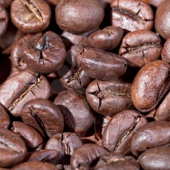 background from roasted coffee beans macro shot